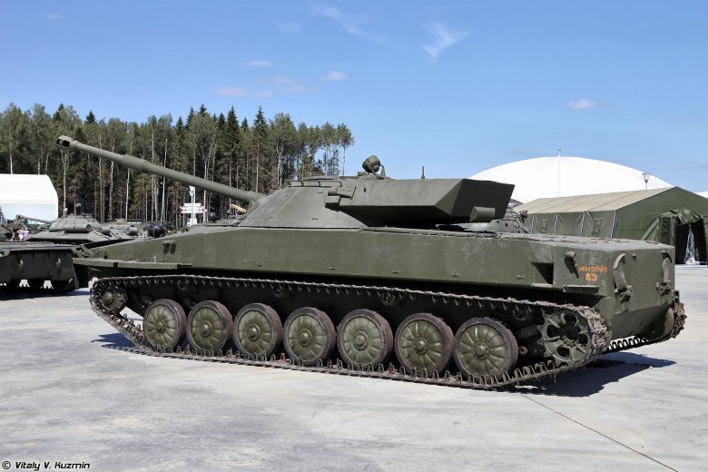 Сау гвоздика 2с1