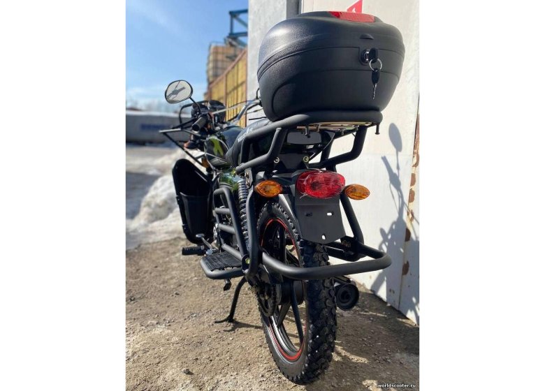 Альфа ягуар лесник