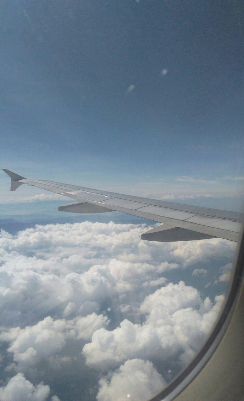 Крыло самолёта из окна