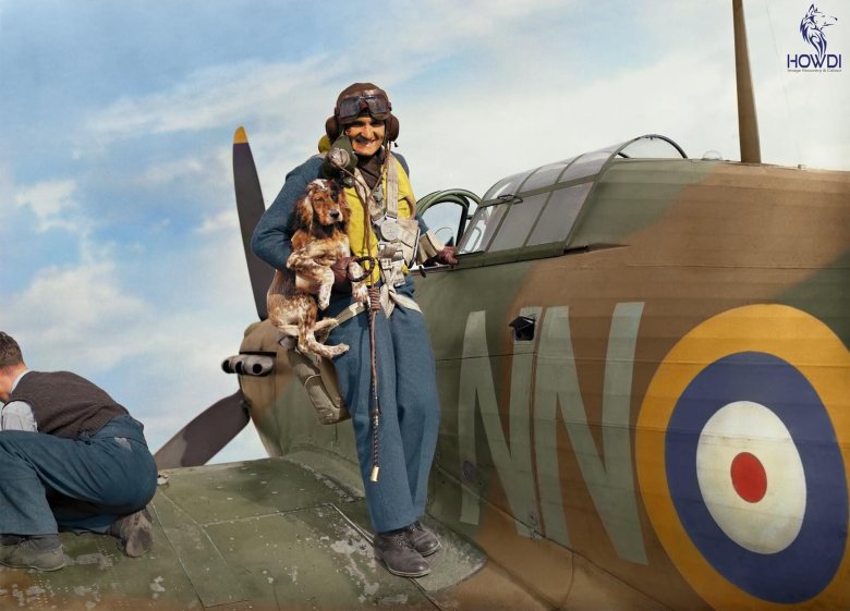Ww2 raf pilots