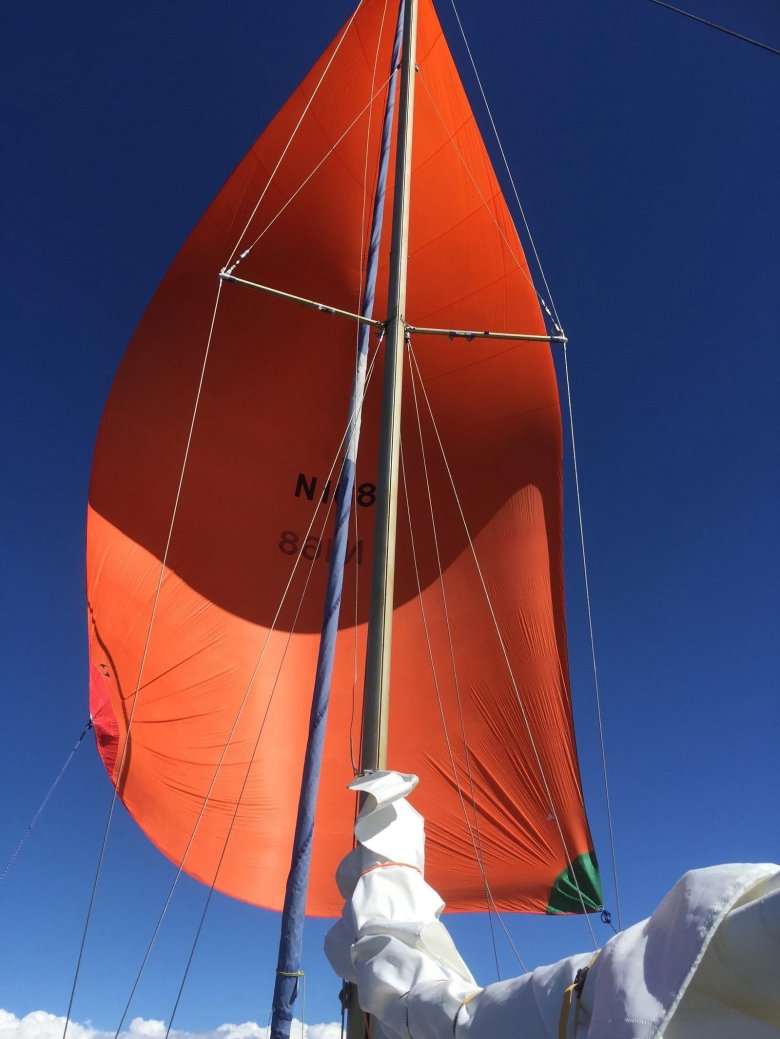 Парусный спорт