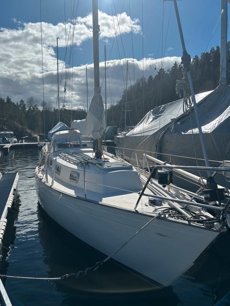 Яхта дорогая