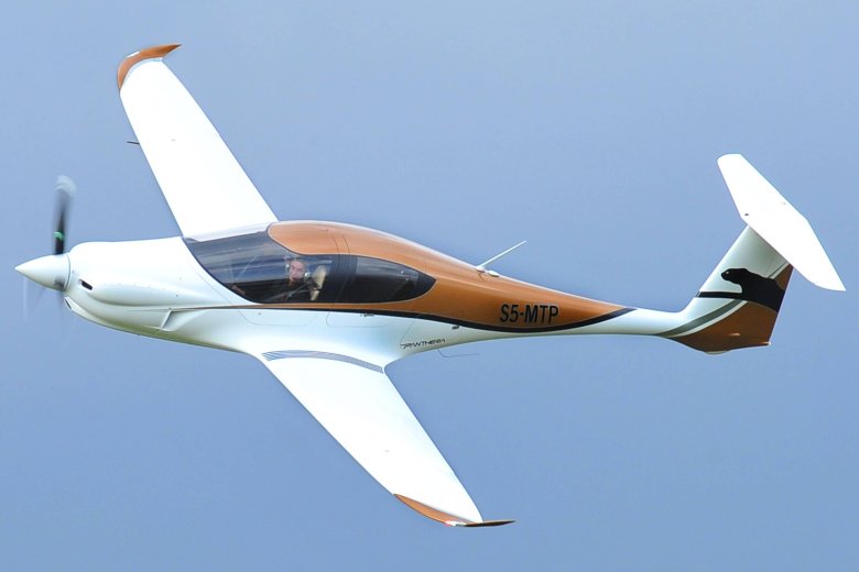 Pipistrel panthera