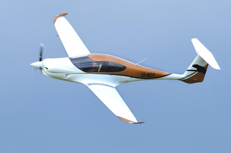 Pipistrel panthera