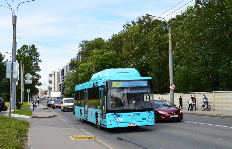 Маз 203 автобус