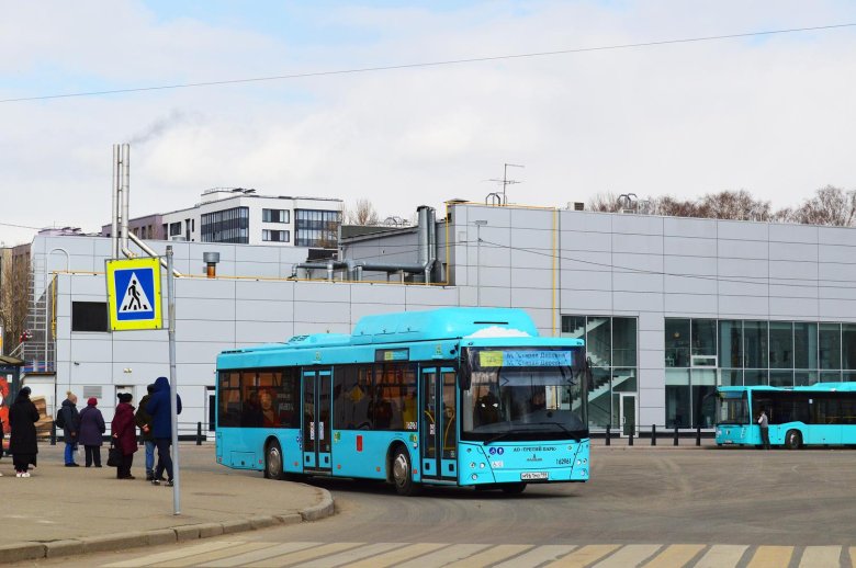 Автобус санкт петербург