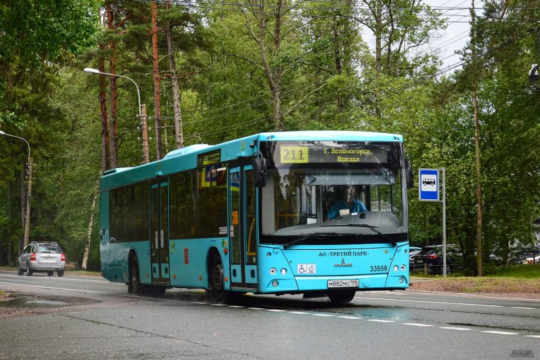 Автобус санкт петербург