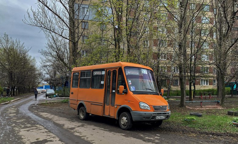 Газель рута