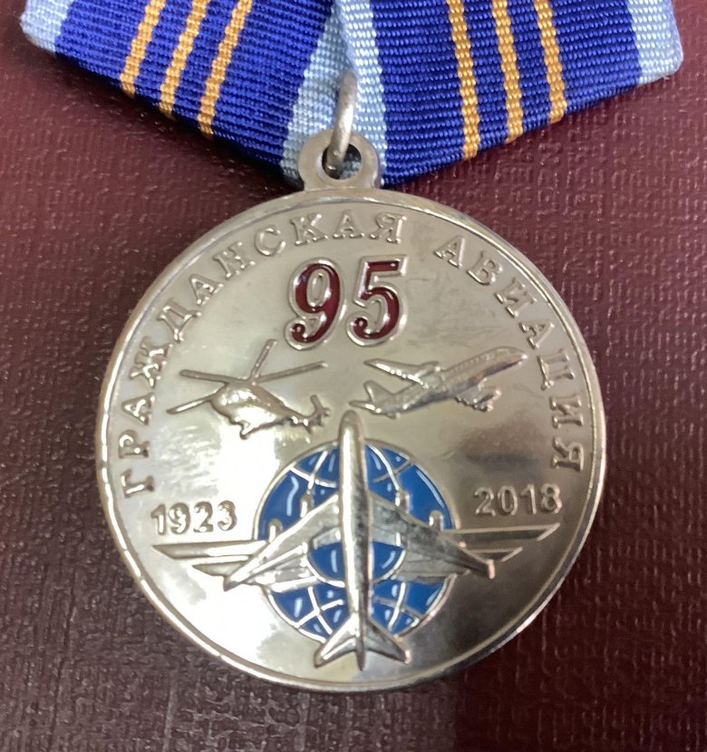 Медаль 100 лет дальней авиации