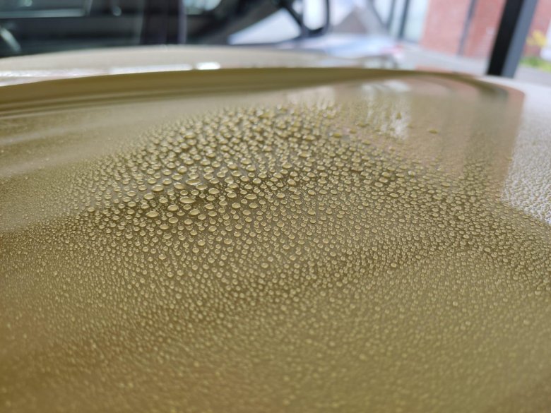 Песочный раптор