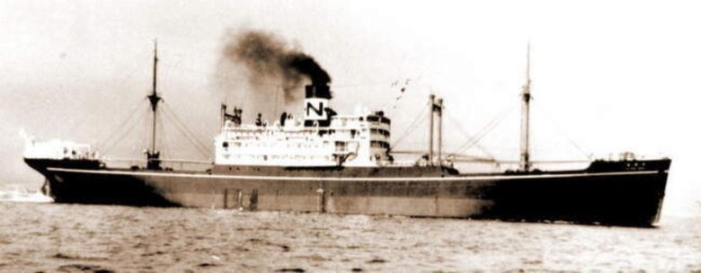 Корморан вспомогательный крейсер