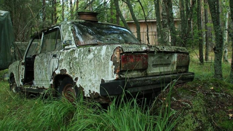 Брошенные машины в лесу