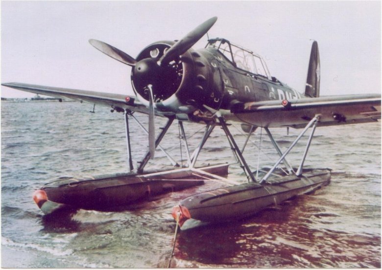 Арадо гидросамолет