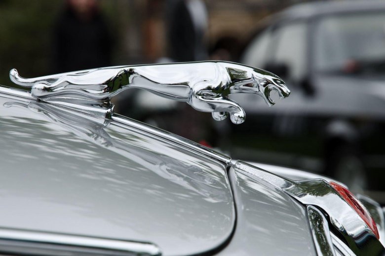 Маскот на капоте автомобиля