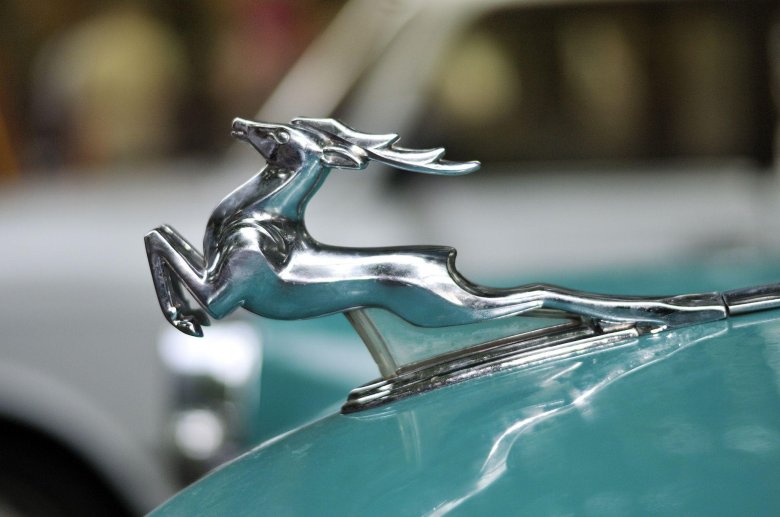 Олень на волге газ 21