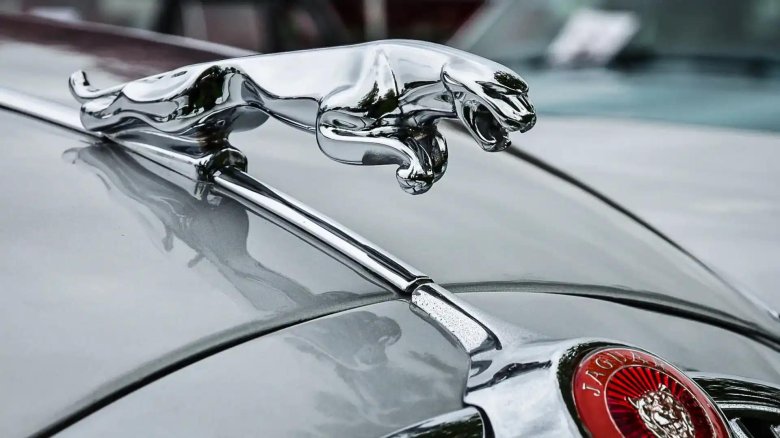 Jaguar brand