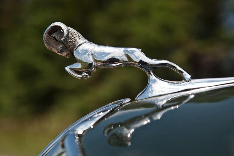 Волга газ 21 олень на капоте