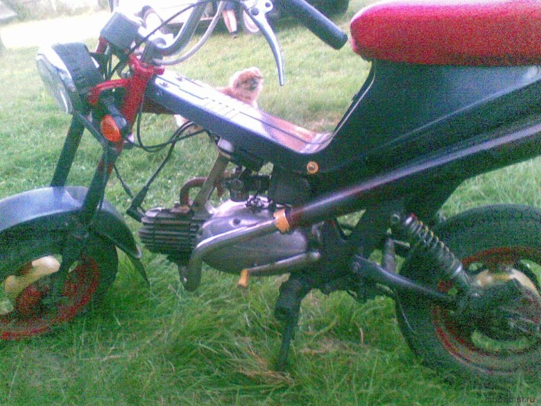 Мокик стелла