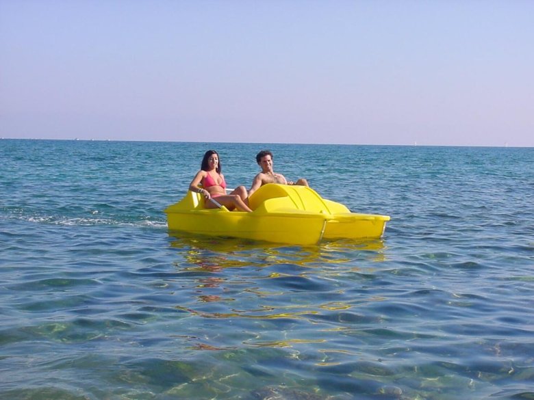 Катамаран морская пчела