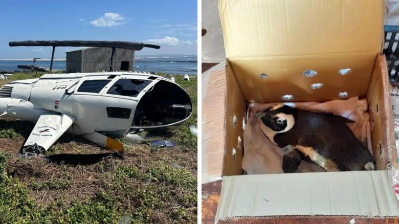 Упавший вертолет