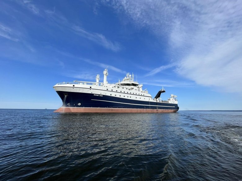 Бмрт механик сизов