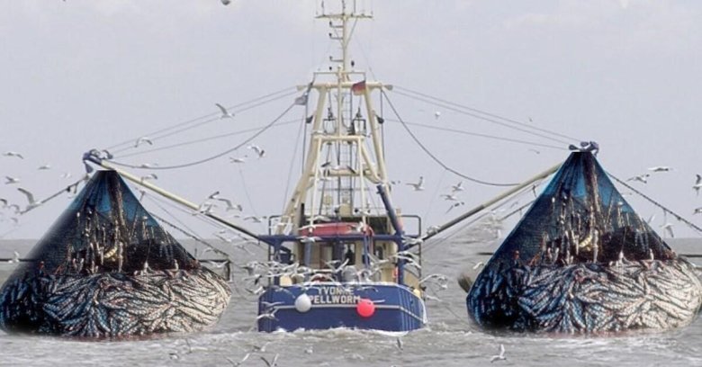 Трал 520 рыболовецкий