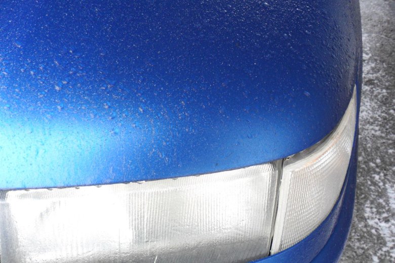 Синий раптор