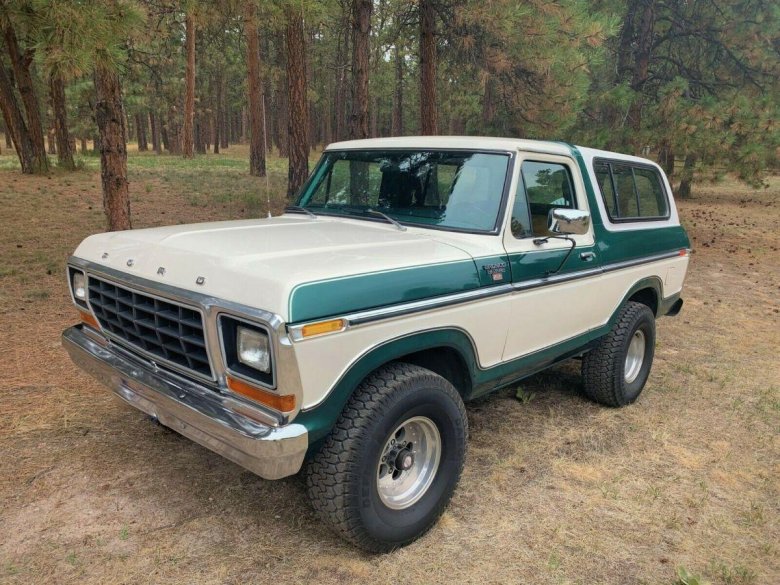 Ford bronco 1979