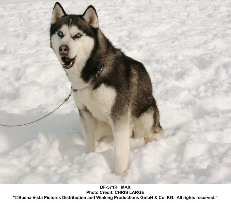 Белый плен - eight below (2006)