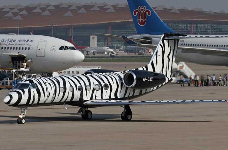 Кондор ливрея самолета