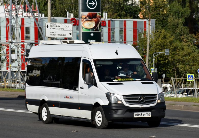 Луидор-223602 (mb sprinter)