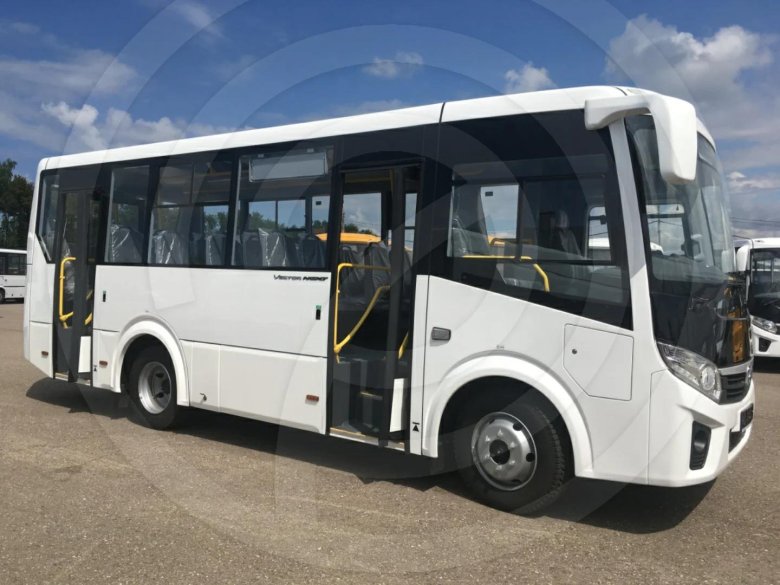 Паз 320405 04 вектор next