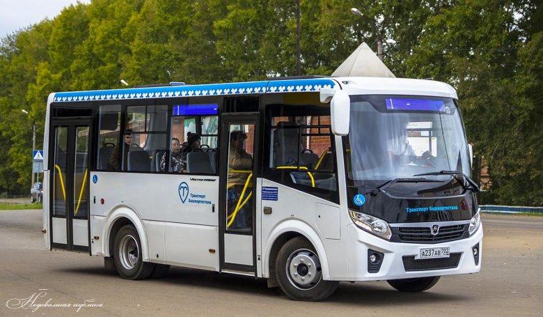 Паз 3204 вектор некст