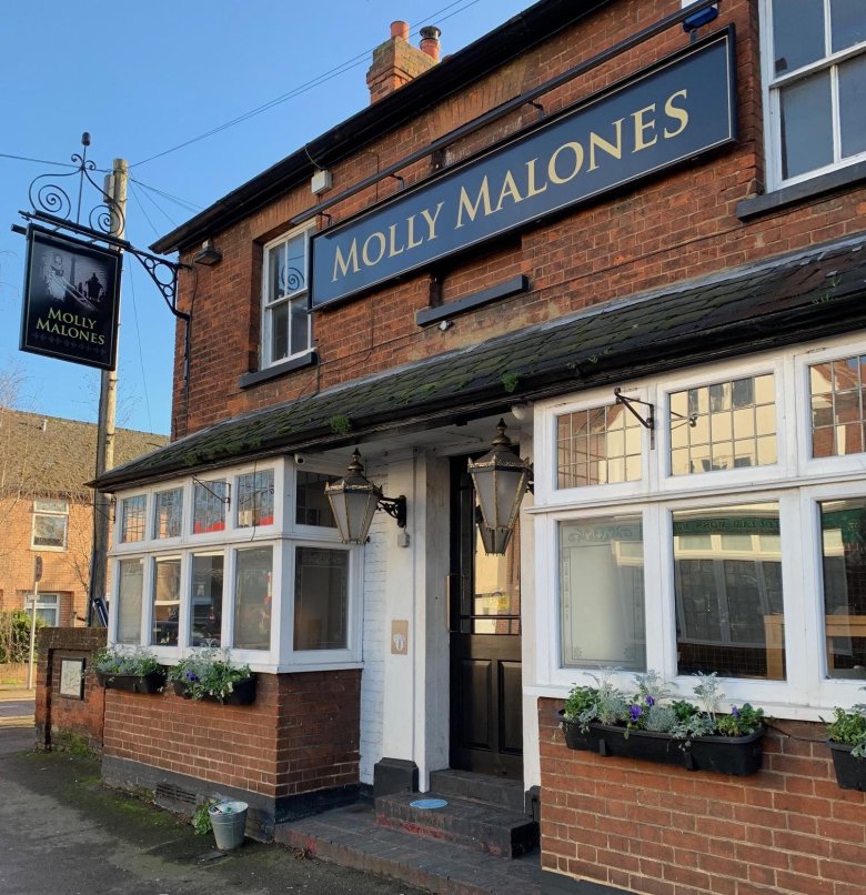 Molly malone s irish pub