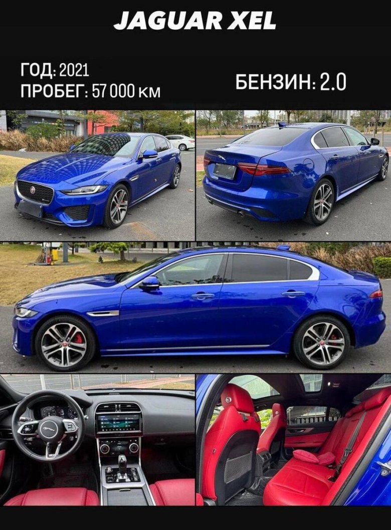 Синий ягуар