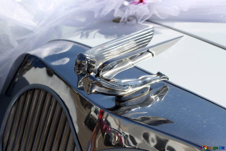 Машина с крыльями