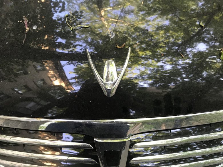 Hyundai equus с птичкой на капоте