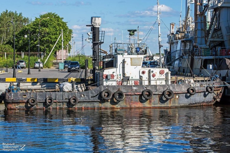 Мотозавозня терек