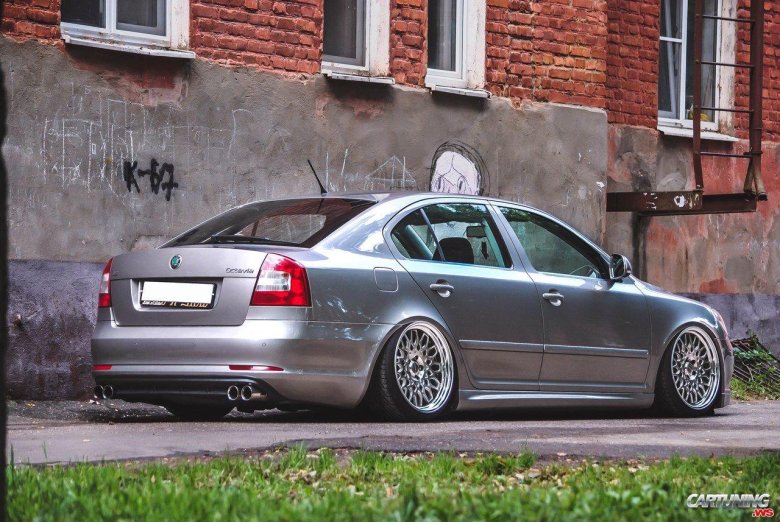 Октавия а5 стенс