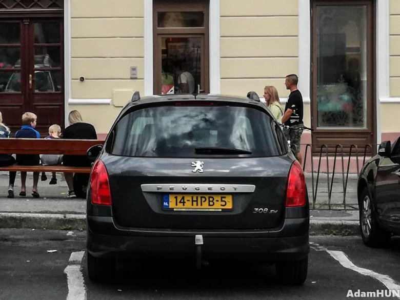 Автомобильные номера голландии