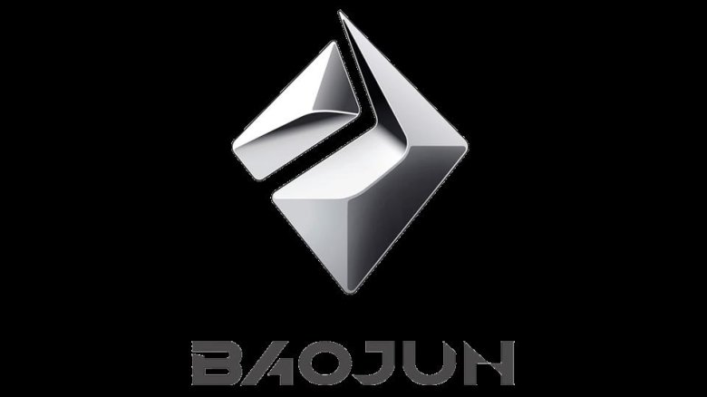 Баоджун значок