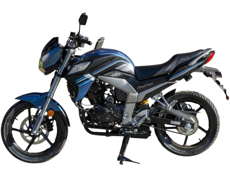 Рейсер файтер 300