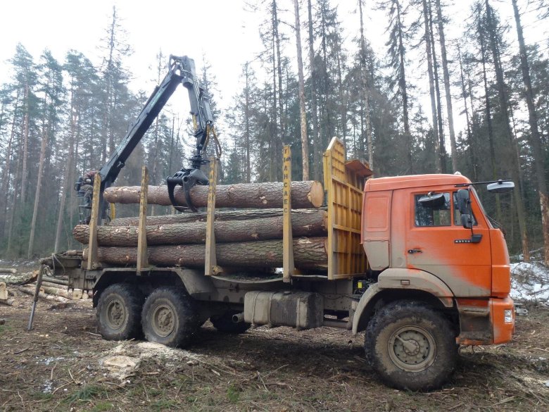 Камаз лесовоз с манипулятором