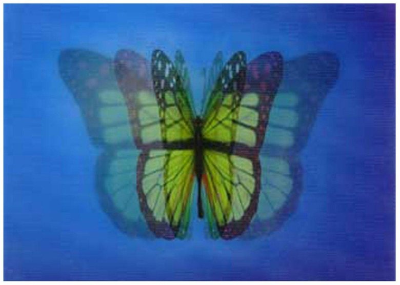 Бумажная бабочка