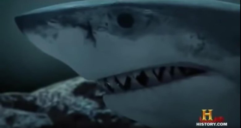 Охотники на монстров 2007