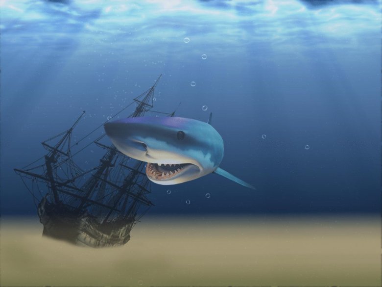 Кархародон мегалодон