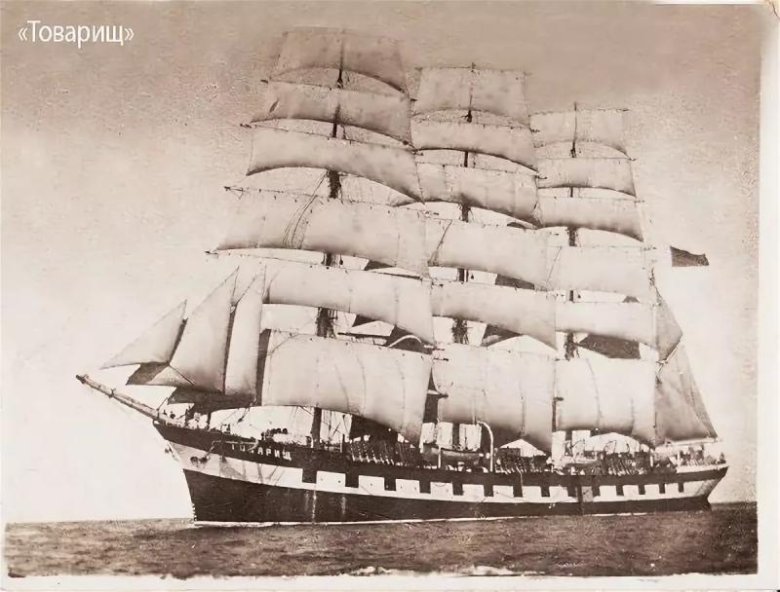 Парусник товарищ