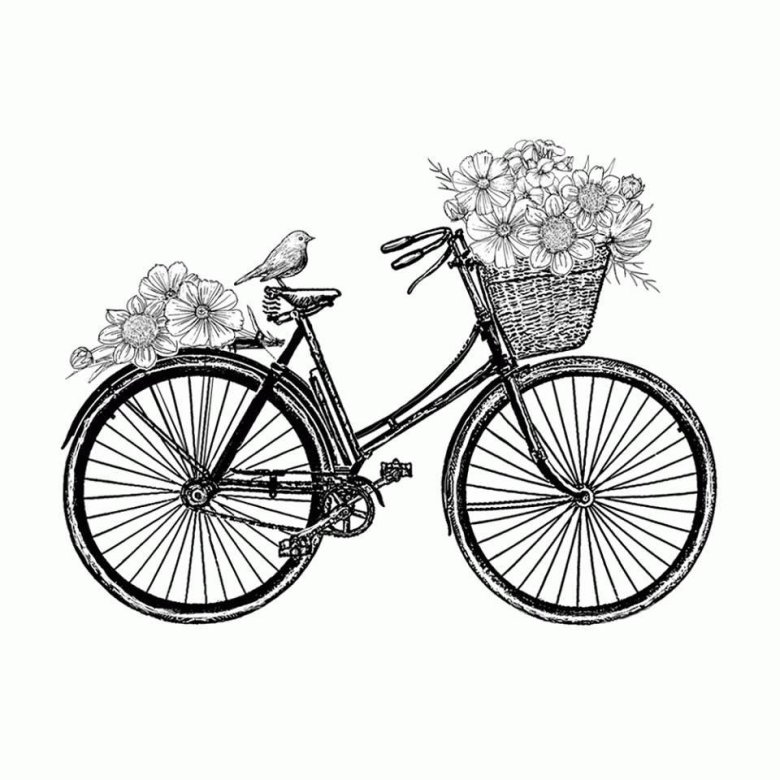 Велосипед скетч