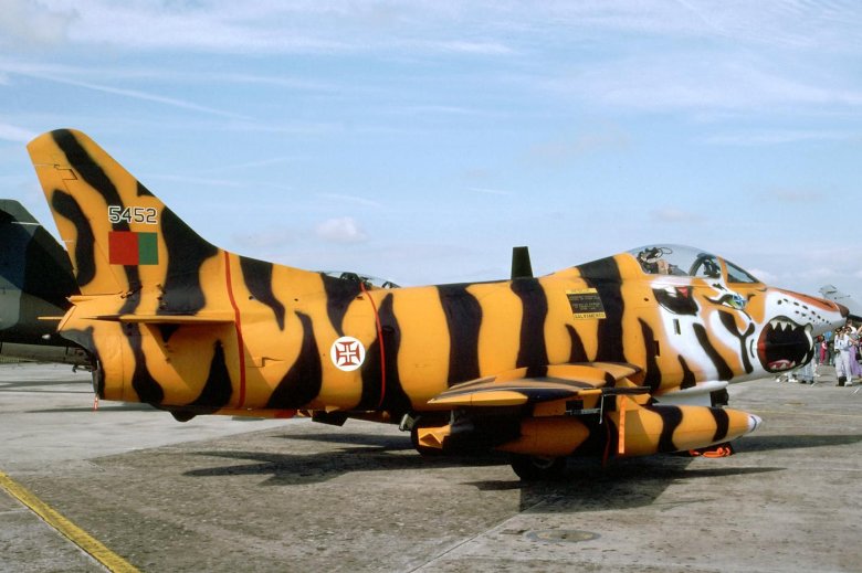 G91 tiger