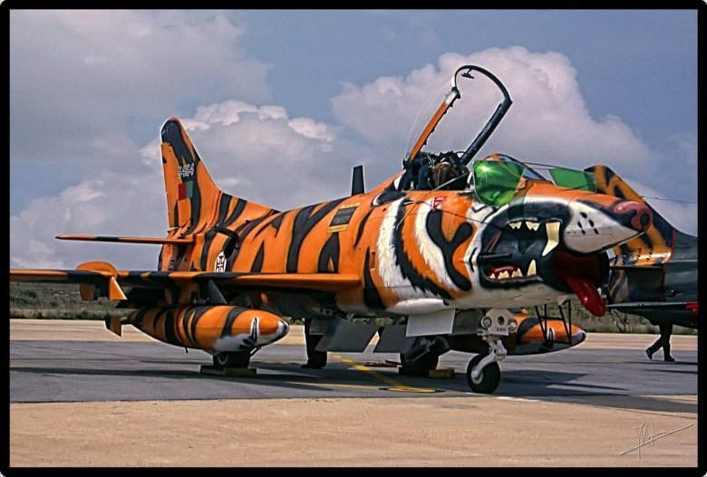 Самолет тигр